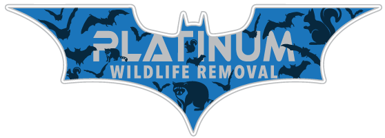Prime Wildlife Removal